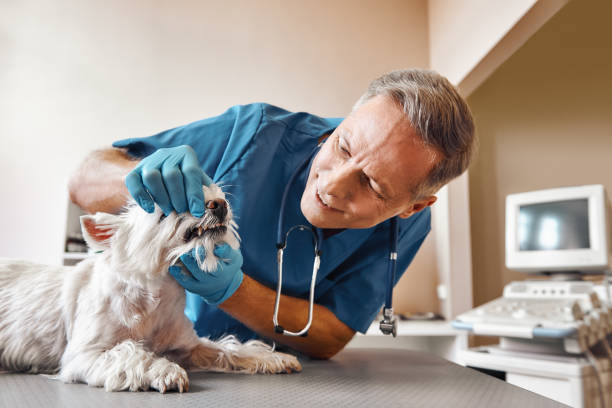 Best Emergency Denture Repair in Lakewood Clu, MI
